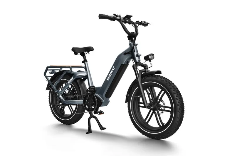 Himiway Big Dog Cargo Ebike-1